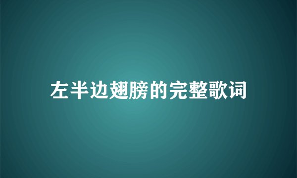 左半边翅膀的完整歌词