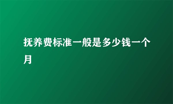 抚养费标准一般是多少钱一个月