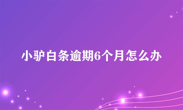 小驴白条逾期6个月怎么办