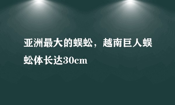 亚洲最大的蜈蚣，越南巨人蜈蚣体长达30cm