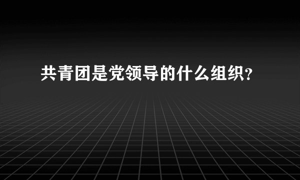 共青团是党领导的什么组织？