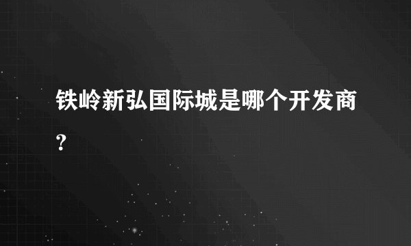 铁岭新弘国际城是哪个开发商？