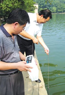 紫霞湖畔的发展简史