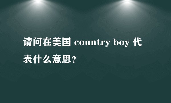 请问在美国 country boy 代表什么意思？