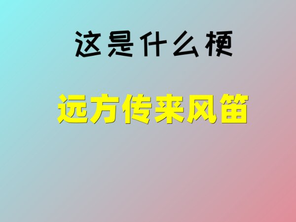 远处传来风笛是什么网络梗