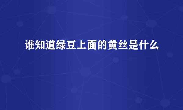 谁知道绿豆上面的黄丝是什么