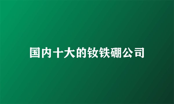 国内十大的钕铁硼公司