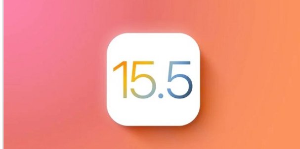 15.5值得升级吗