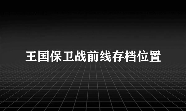 王国保卫战前线存档位置