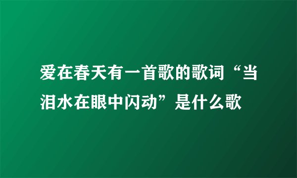 爱在春天有一首歌的歌词“当泪水在眼中闪动”是什么歌