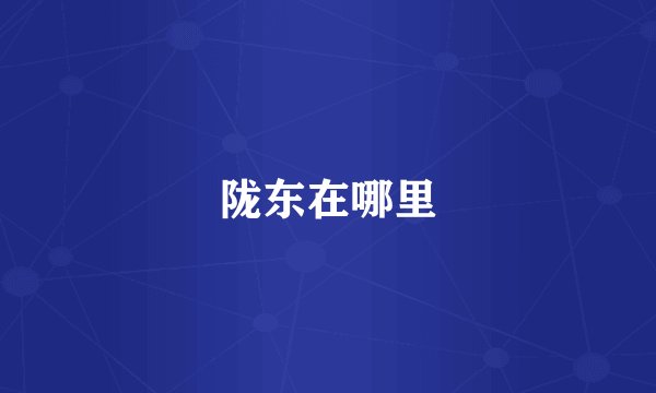 陇东在哪里