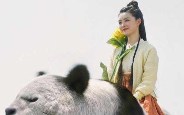呵呵姑娘为什么要杀虎夔呢？