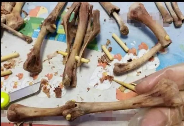 金华男子啃速食鸭腿时发现骨头由“木棍”拼接，鸭架骨怎么变成了一截木棍？