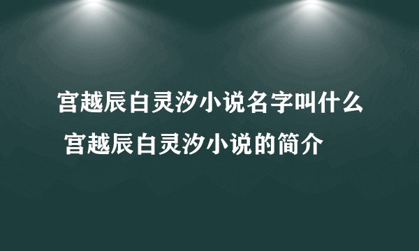 宫越辰白灵汐小说名字叫什么 宫越辰白灵汐小说的简介