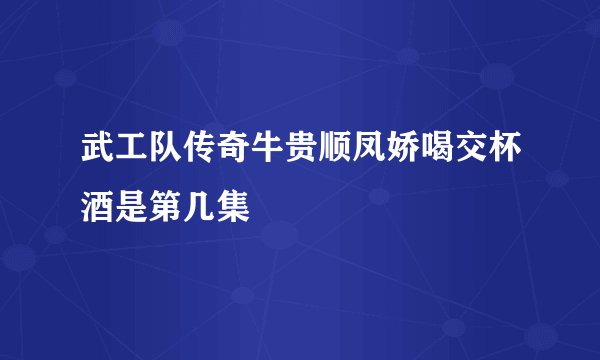 武工队传奇牛贵顺凤娇喝交杯酒是第几集