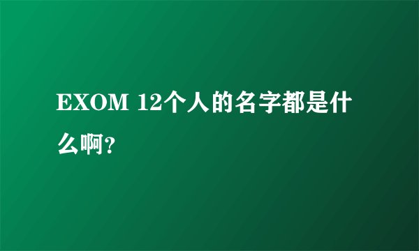 EXOM 12个人的名字都是什么啊？