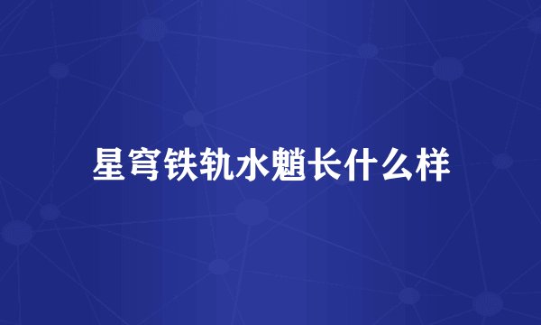星穹铁轨水魈长什么样