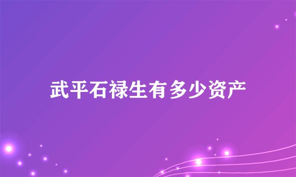 武平石禄生有多少资产