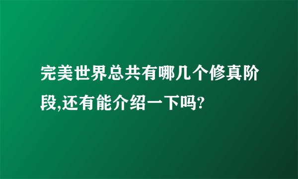 完美世界总共有哪几个修真阶段,还有能介绍一下吗?