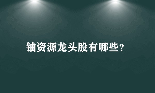 铀资源龙头股有哪些？
