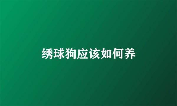 绣球狗应该如何养