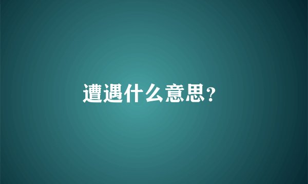 遭遇什么意思？