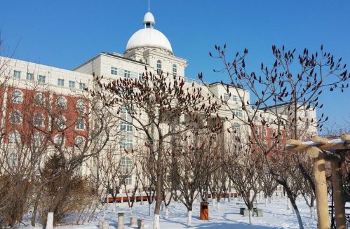 沈阳师范大学的中外合作办学怎样？