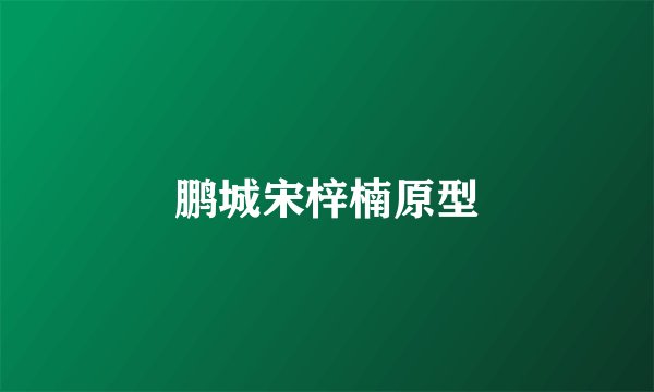 鹏城宋梓楠原型