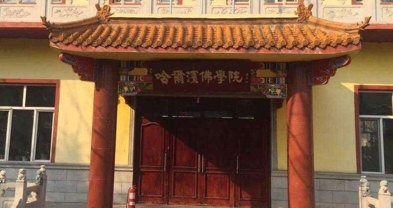 哈尔滨佛学院是大学吗