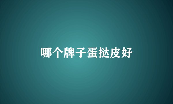 哪个牌子蛋挞皮好