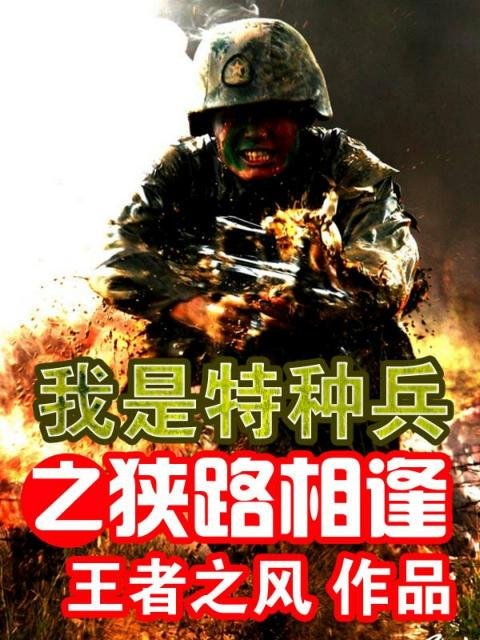 我是特种兵3之狭路相逢的章节目录