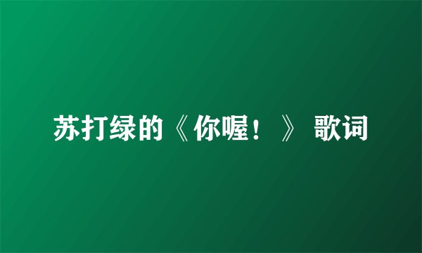 苏打绿的《你喔！》 歌词