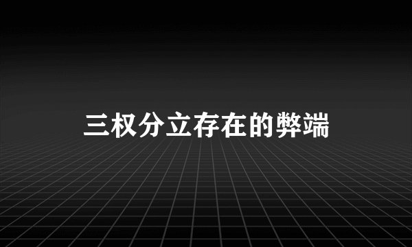 三权分立存在的弊端