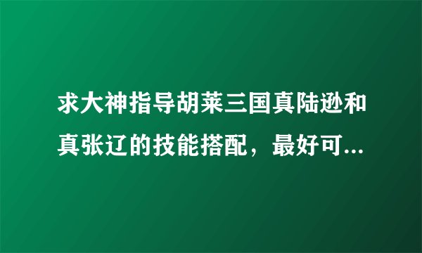 求大神指导胡莱三国真陆逊和真张辽的技能搭配，最好可以说明下原因。O(∩_∩)O谢谢。。