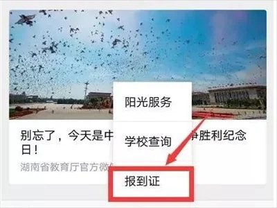 如何查询报到证电子版