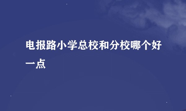 电报路小学总校和分校哪个好一点