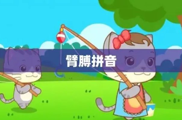 臂膊怎么读