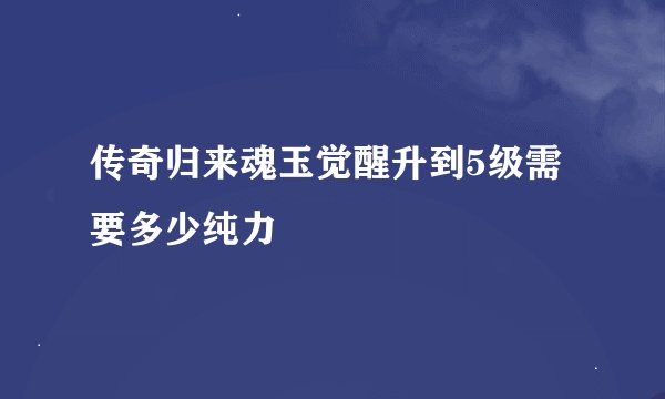 传奇归来魂玉觉醒升到5级需要多少纯力