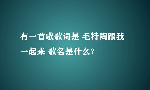 有一首歌歌词是 毛特陶跟我一起来 歌名是什么?
