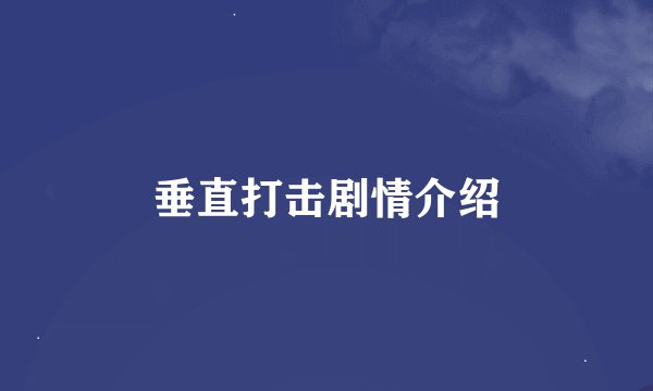垂直打击剧情介绍