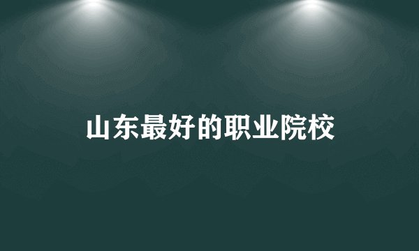山东最好的职业院校