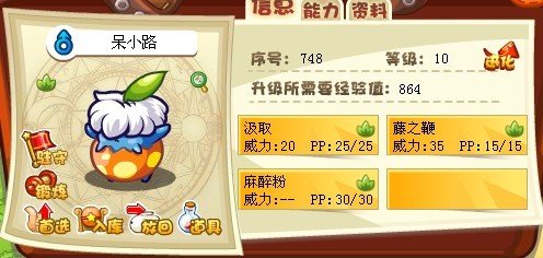 呆小路的介绍