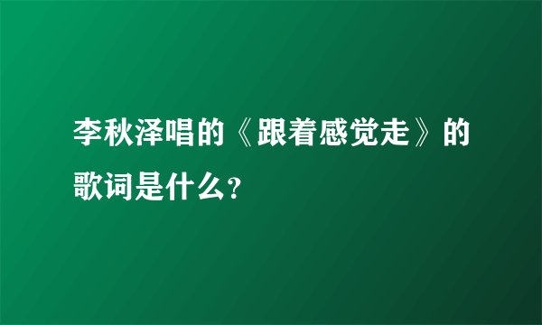 李秋泽唱的《跟着感觉走》的歌词是什么？