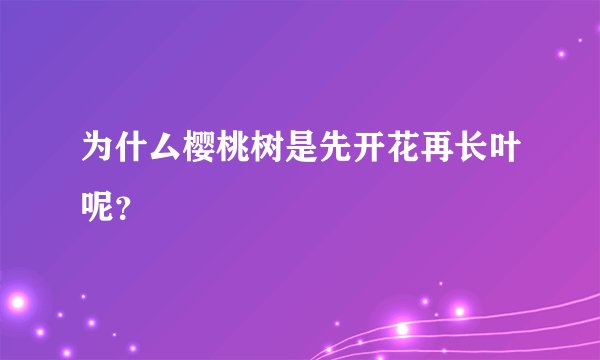 为什厶樱桃树是先开花再长叶呢？