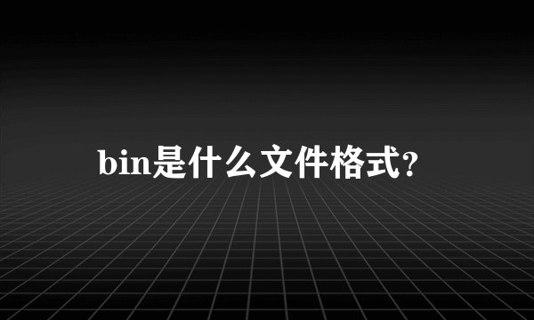 bin是什么文件格式？