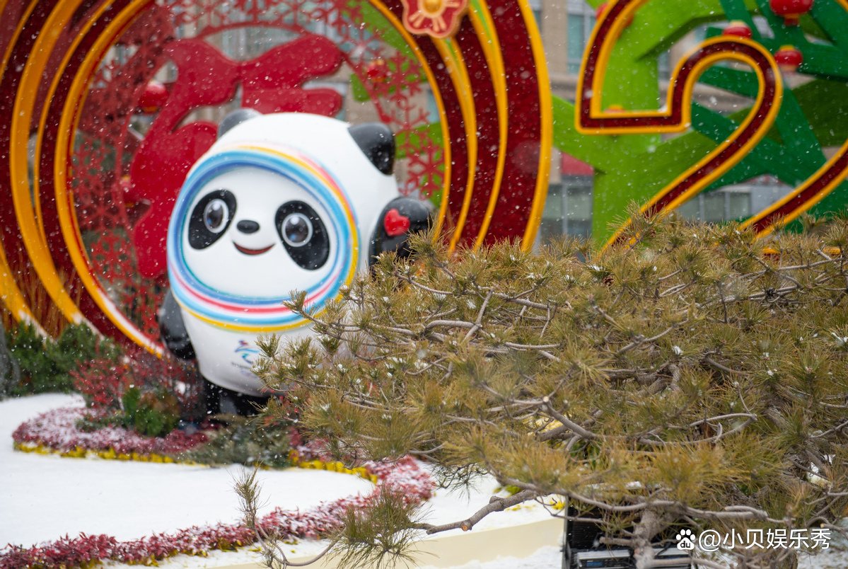 北京3人高价倒卖冰墩墩被警方处罚，其行为在法律中如何定性？