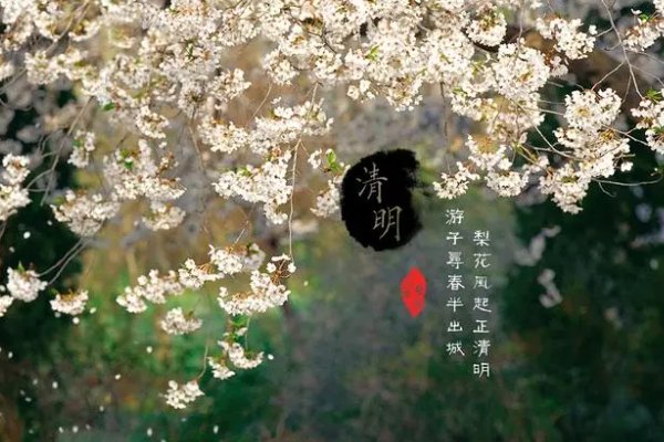 清明手抄报内容英语