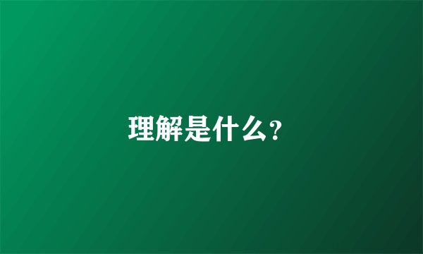 理解是什么？