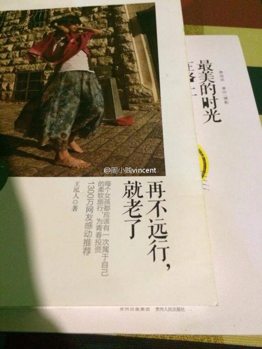 王泓人的出版作品