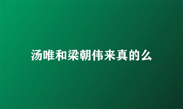 汤唯和梁朝伟来真的么